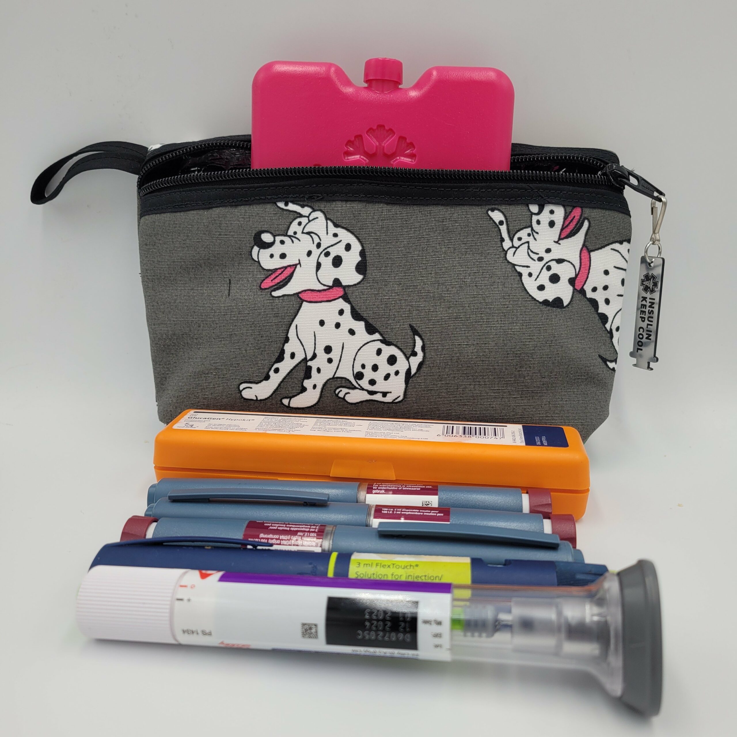 Insulated Insulin Bag Including an Ice Brick - Large