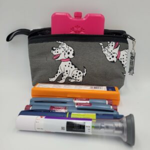 Insulated Insulin Bag Including an Ice Brick - Large
